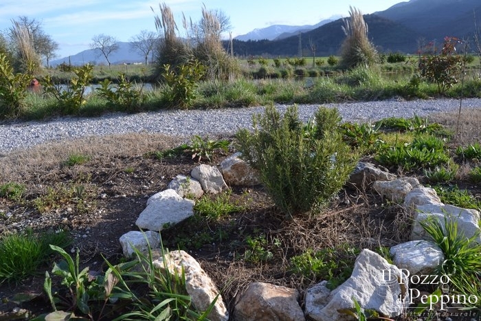agriturismo_esterni_pozzo_peppinodsc_1501