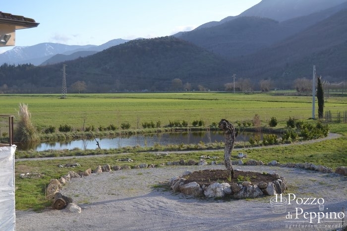 agriturismo_esterni_pozzo_peppinodsc_1514
