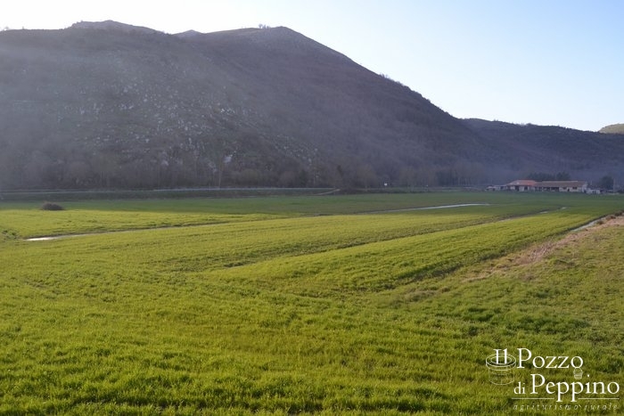 agriturismo_esterni_pozzo_peppinodsc_1529