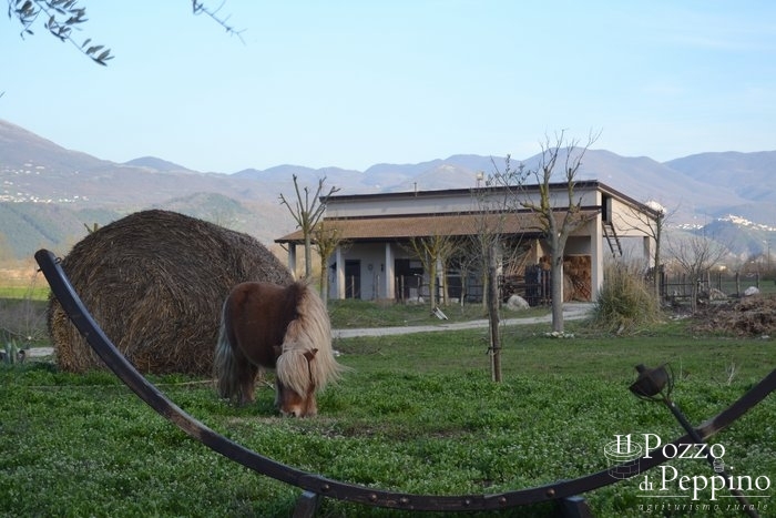 agriturismo_esterni_pozzo_peppinodsc_1585