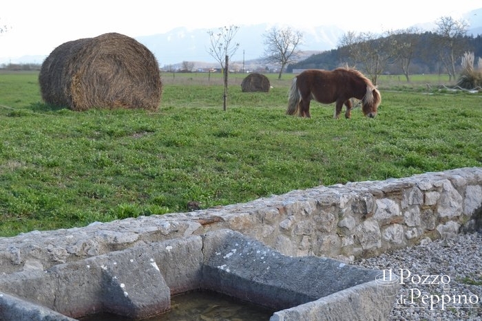 agriturismo_esterni_pozzo_peppinodsc_1588